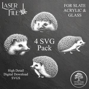 May include: Four black and white SVG digital downloads of detailed illustrations of hedgehogs. The text "4 SVG Pack" is in the center of the image. The text "LASER FILE" is in the upper left corner of the image. The text "FOR SLATE ACRYLIC & GLASS" is in the upper right corner of the image. The text "High Detail Digital Download SVGS" is in the lower left corner of the image. The text "VIVID OAK GRAPHICS" is in the lower right corner of the image.