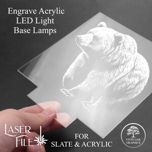 Puede incluir: Una l&aacute;mina de acr&iacute;lico transparente con una imagen grabada en blanco de un oso sentado. El texto "Engrave Acrylic LED Light Base Lamps" est&aacute; en la parte superior de la l&aacute;mina. El texto "LASER FILE" est&aacute; en la parte inferior izquierda de la l&aacute;mina. El texto "FOR SLATE & ACRYLIC" est&aacute; en la parte inferior central de la l&aacute;mina. El texto "VIVID OAK GRAPHICS" est&aacute; en la parte inferior derecha de la l&aacute;mina.