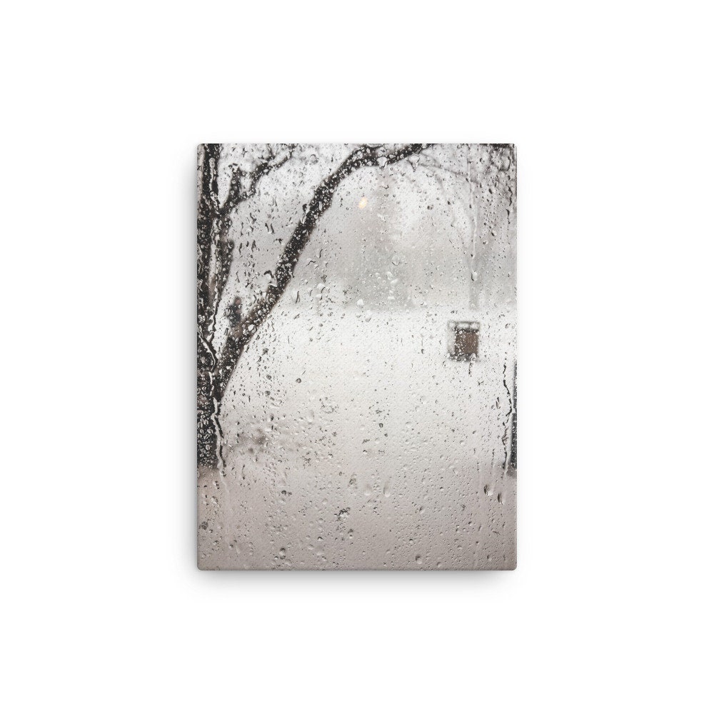 Storm Windows for sale Only 4 left at 60