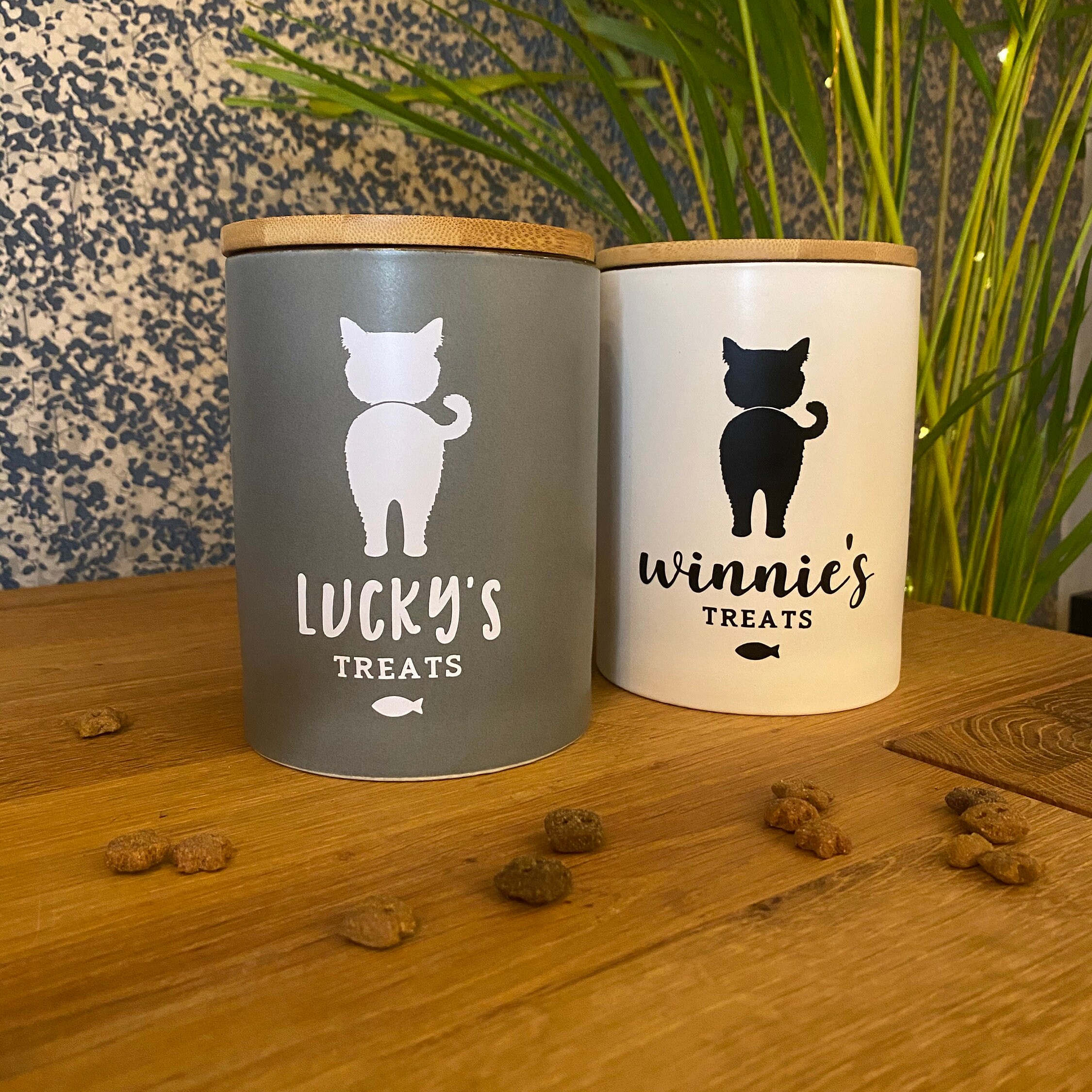 Personalised Custom Cat Treat Jar / Container Porcelain With Etsy UK
