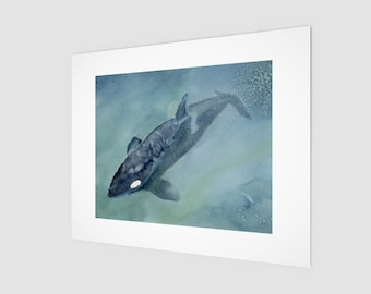 Orca swimming in Salish Sea, art print based on original watercolour by Beth Doman