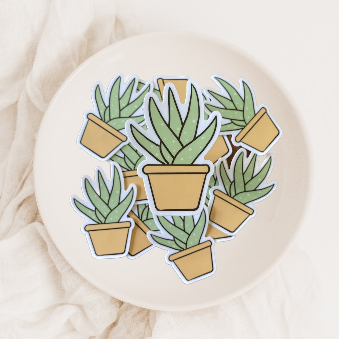 Aloe Vera Plant Weatherproof Vinyl Die Cut Sticker Plant - Etsy