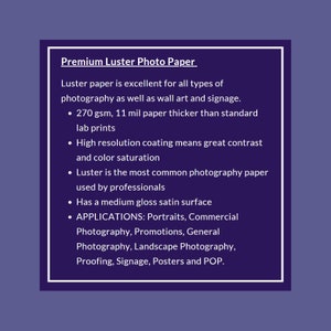 Op de afbeelding: Premium Luster fotopapier is uitstekend geschikt voor alle soorten fotografie, wandkunst en bewegwijzering. Het is 270 g/m&sup2;, 11 mil dik en heeft een coating met hoge resolutie voor een uitstekend contrast en kleurverzadiging. Dit papier wordt veel gebruikt door professionals en heeft een medium glans satijnen oppervlak.