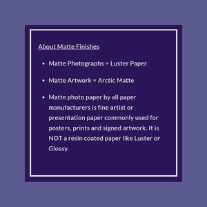 Op de afbeelding: Tekst die het verschil uitlegt tussen matte foto's en matte kunstwerken. Matte foto's worden afgedrukt op Luster-papier, terwijl matte kunstwerken worden afgedrukt op Arctic Matte-papier. Mat fotopapier wordt vaak gebruikt voor kunstprints, posters en gesigneerde kunstwerken. Het is geen harsgecoat papier zoals Luster of Glossy.