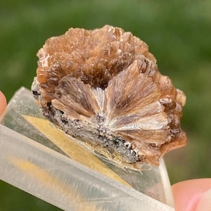 Stilbite Cluster, Brown Stilbite, Stilbite Specimen, Montclair Quarry, New Jersey Minerals, American Minerals, Rare Minerals, Christmas Gift