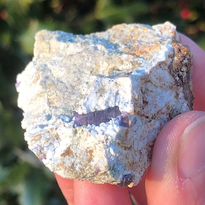 以下が含まれることがあります： ざらざらした白い岩に、紫と青の鉱脈が走っている。岩は手で持たれている。