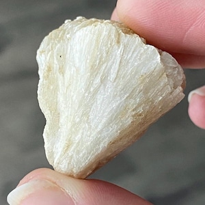 Stilbite, Prehnite, Stilbite Specimen, Stilbite Bow, New Jersey Minerals, Rare Minerals, Rockhound Gift, Birthday Gift, Christmas Gift