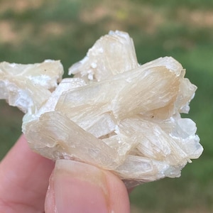 Stilbite, Prehnite, Stilbite Specimen, Stilbite Bow, New Jersey Minerals, Rare Minerals, Rockhound Gift, Birthday Gift, Christmas Gift