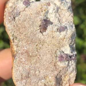 May include: A rough, light brown rock with several small, dark purple crystals embedded in it.