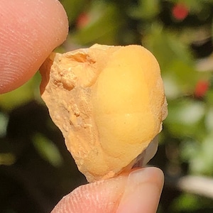 May include: A small, irregularly shaped, light orange-yellow rock with a smooth, rounded surface. The rock is held between two fingers, with a blurred green background.