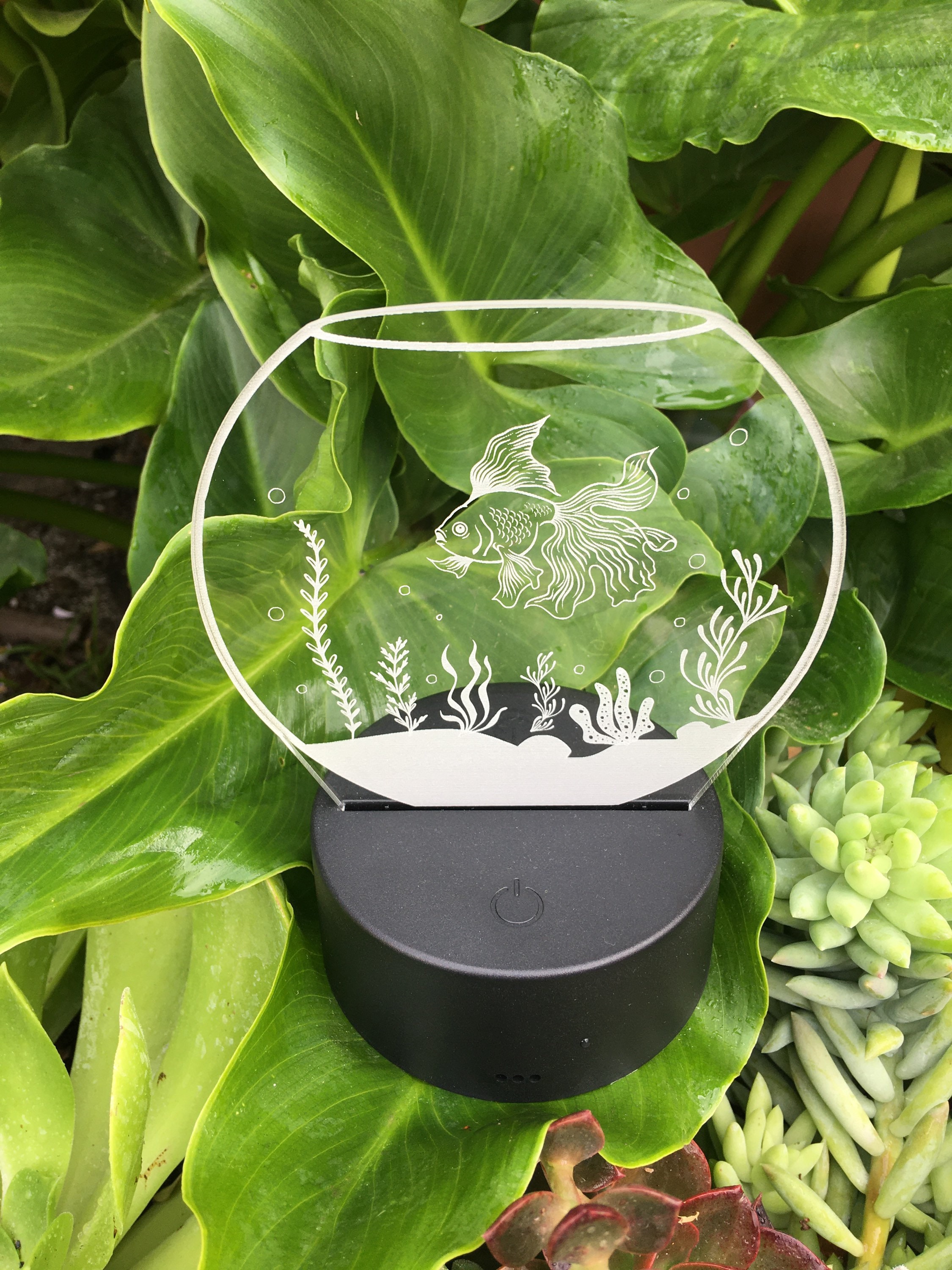 Small Fish Bowl, Led, Edge Lit, Nightlight, Kids, Gift, Gift for Him ...