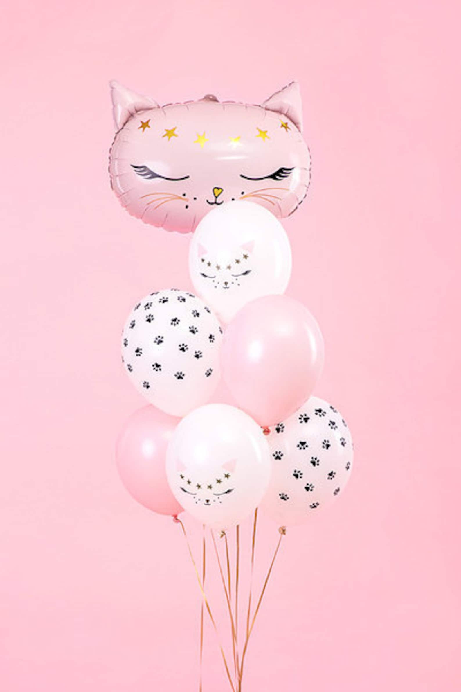 Шар кошка розовая. Воздушный шар кошка с короной. Воздушные шары котики. Шары с кошечкой. Воздушные шары котики.