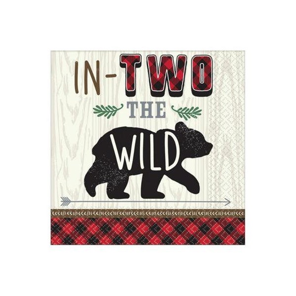 Lumberjack 2nd birthday lunch napkins (16ct), camp themed birthday party, outdoors party decor, happy camper party supplies, camping party