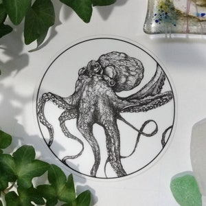 Artists Vinyl Sticker - Octopus Artwork