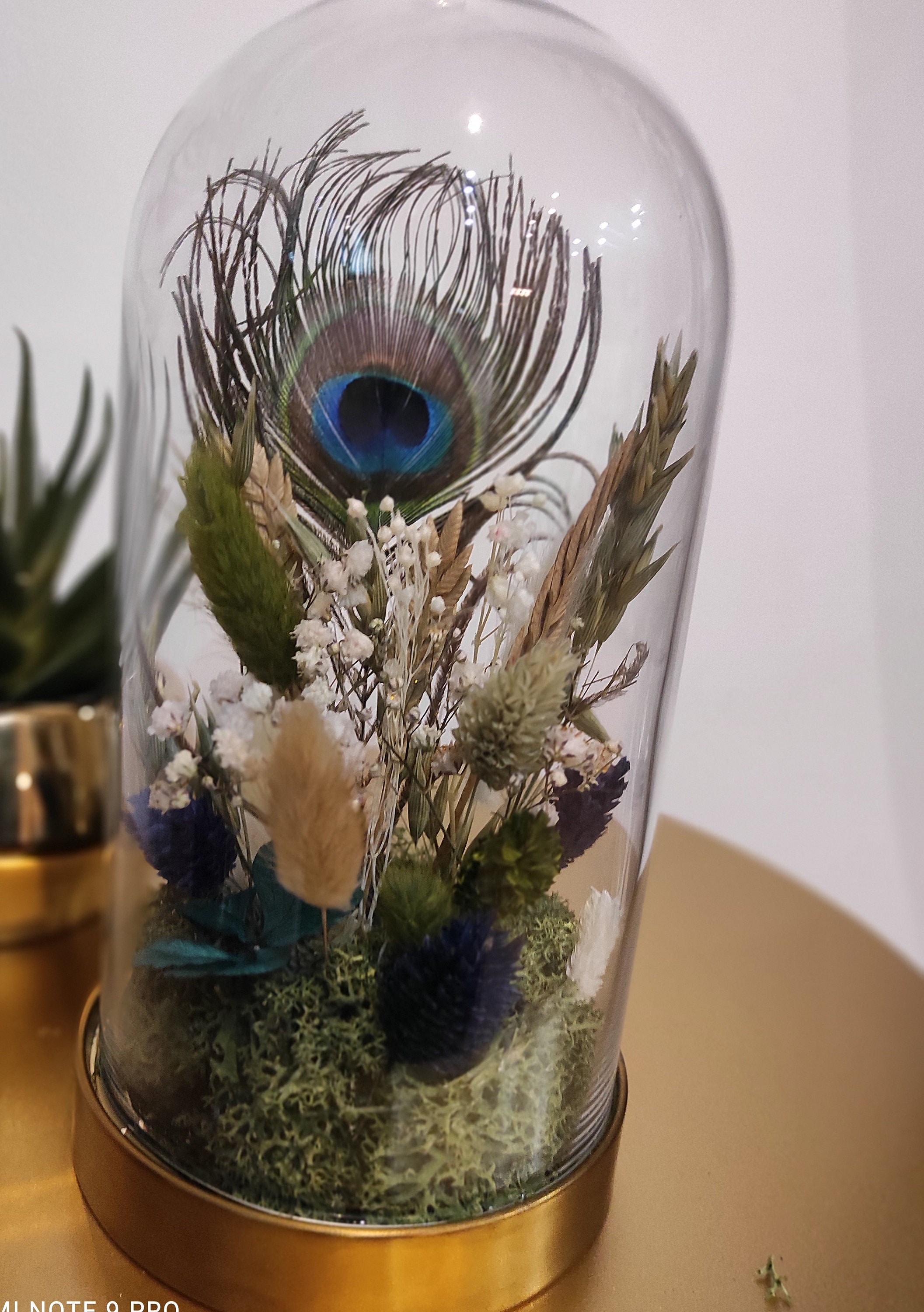 Cloche en Verre, Globe Fleurs Séchées, Stabilisées, Plume de Paon, Oiseau, Cadeau Noël, Evjf, Lescre