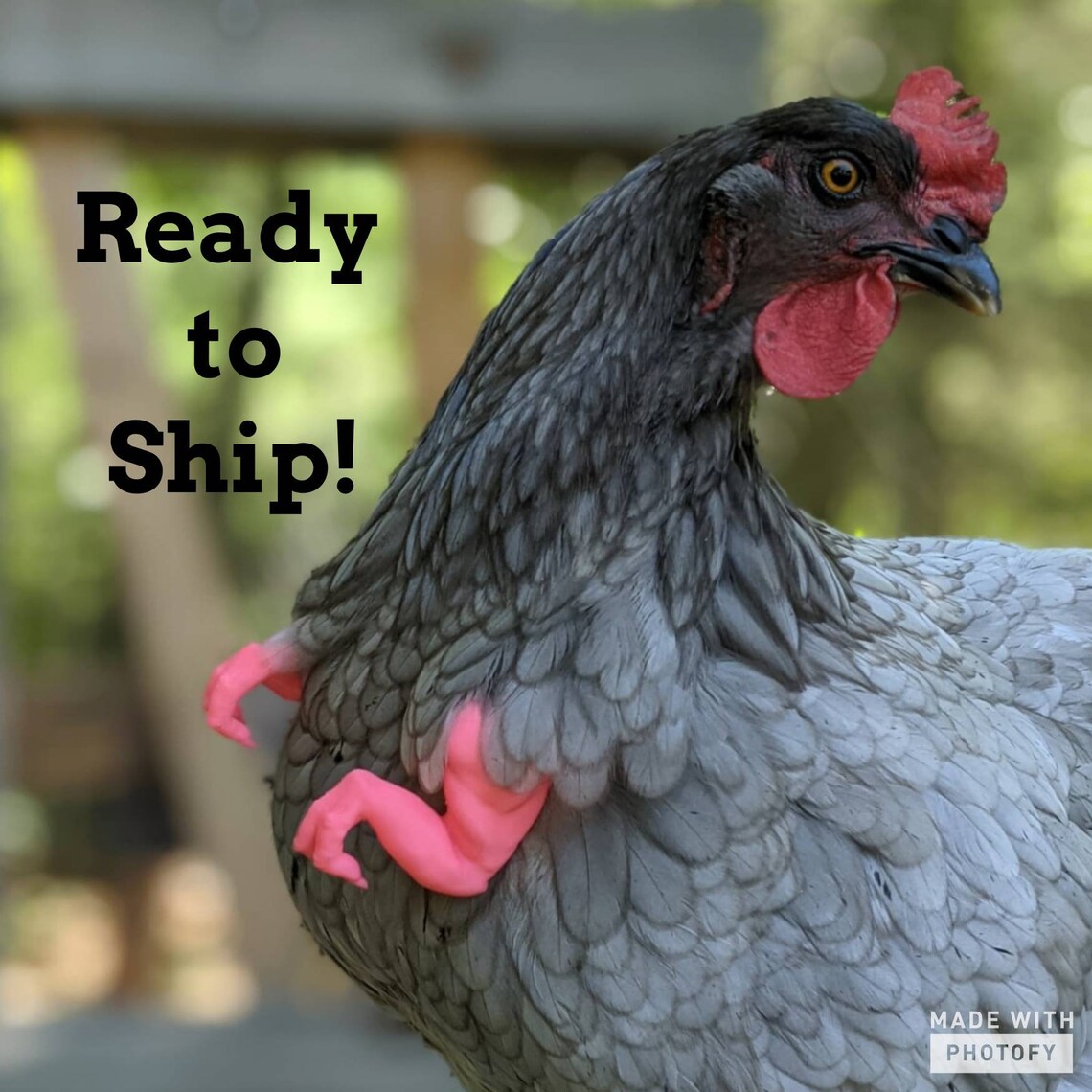 tiny t rex arms for chickens