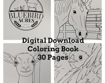 Digital Download* Bluebird Acres Goat Farm Coloring Book 2025