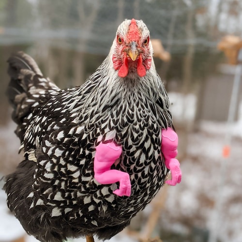 CluckAndCrowBoutique - Etsy 日本