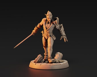 Human Tabletop Miniature | Drake Riftwalker | Raid at the Temple of Ifrit