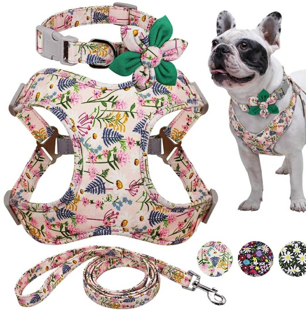 Collar harness and lead set Etsy