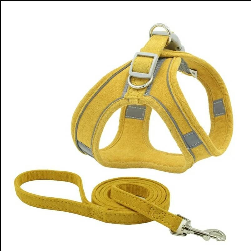 Breathable harness and lead Etsy