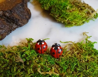 Lady Bug Studs