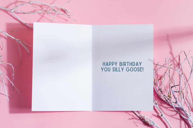 May include: Open white birthday card with the text "HAPPY BIRTHDAY YOU SILLY GOOSE!" in teal. The card is open on a pink background with white branches in the corners.