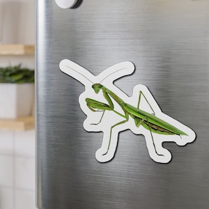 Gottesanbeterin Magnet, Bug Magnet, Gottesanbeterin Magnet, Gottesanbeterin Liebhaber Magnet Geschenk