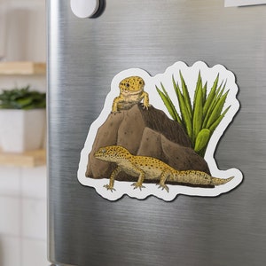 Imán de gecko leopardo, imán de gecko, imán de reptil, imán de amante de gecko leopardo