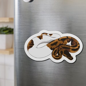 Pied Ball Python Magnet, Snake Magnet, Reptile Magnet, Ball Python Lover Magnet Gift