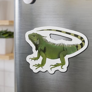 Green Iguana Magnet, Lizard Magnet, Reptile Magnet, Iguana Lover Magnet