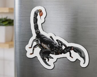 Emperor Scorpion Magnet, Bug Magnet, Scorpion Magnet, Scorpion Lover Magnet Gift