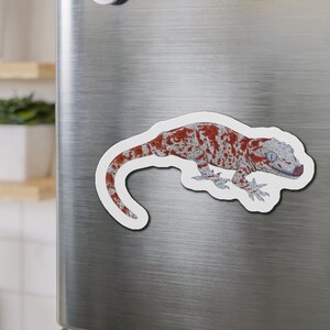 Gargoyle Gecko Magnet, Gecko Magnet, Reptile Magnet, Gargoyle Gecko Lover Magnet