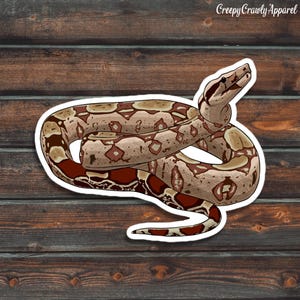 Roter Schwanz Boa Aufkleber, Reptilien Aufkleber, Schlange Aufkleber, Vinyl wasserdichter Haustier roter Schwanz Boa Aufkleber