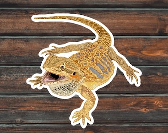 Bearded Dragon Sticker, Reptile Sticker, Lizard Sticker, Waterproof Pet Angry Bearded Dragon Decal