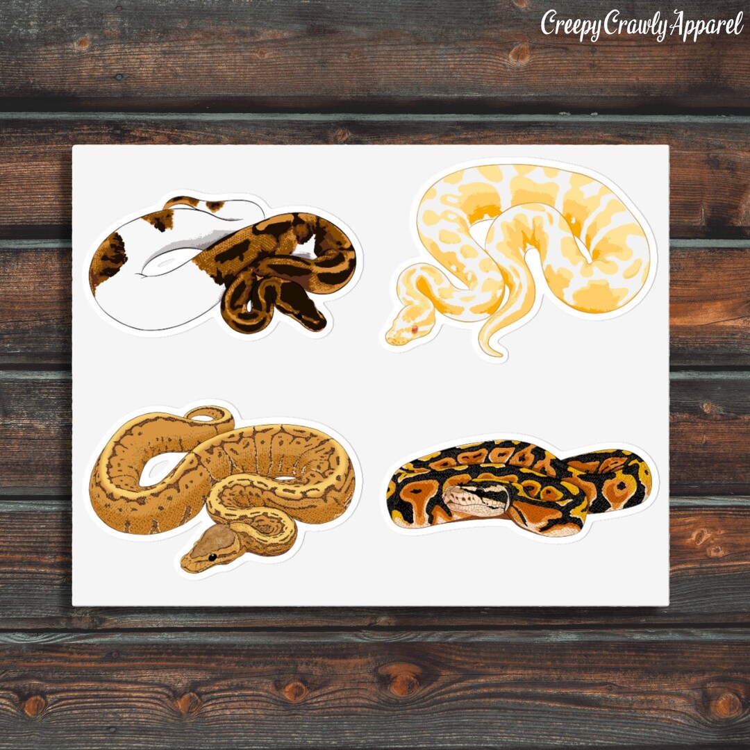 Ball Python Sticker Sheet, Snake Decal Pack, Vinyl Waterproof Ball ...