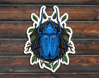 Blue Beetle Sticker, Bug Sticker, Insect Sticker, Waterproof Beetle Decal