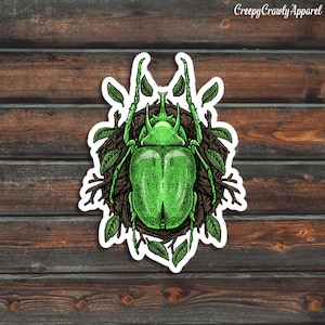 Green Beetle Sticker, Bug Sticker, Insect Sticker, Vinyl Waterproof Beetle Sticker