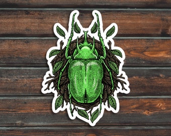 Green Beetle Sticker, Bug Sticker, Insect Sticker, Vinyl Waterproof Beetle Sticker