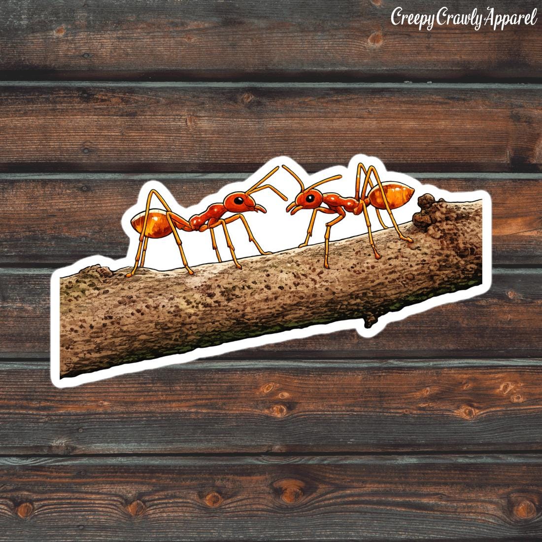 Ant Sticker, Bug Sticker, Cute Brown Ants Sticker, Waterproof Bug Decal ...