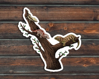 Crested Gecko Sticker, Reptile Sticker, Lizard Sticker, Waterproof Pet Gecko Decal