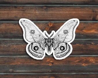 Moth Sticker, Bug Sticker, Cute Moth Sticker, Vinyl Waterproof Moth Sticker