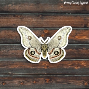 Moth Sticker, Bug Sticker, Cute Moth Sticker, Vinyl Waterproof Moth Sticker