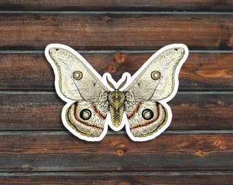 Moth Sticker, Bug Sticker, Cute Moth Sticker, Vinyl Waterproof Moth Sticker