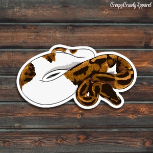 Pied Ball Python Sticker, Reptile Sticker, Snake Sticker, Vinyl Waterproof Pet Ball Python Sticker