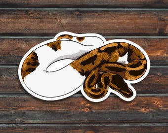 Sticker bonte bal python, sticker slang, waterdichte sticker huisdier bal python
