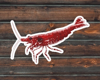 Cherry Shrimp Sticker, Shrimp Sticker, Waterproof Red Cherry Shrimp Decal
