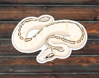 Freeway Pastel Ball Python Sticker, Reptile Sticker, Snake Sticker, Waterproof Pet Ball Python Sticker
