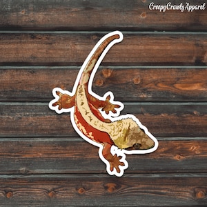 Red Crested Gecko Sticker, Reptile Sticker, Lizard Sticker, Vinyl Waterproof Pet Gecko Sticker