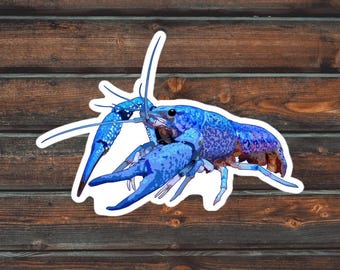 Elektrisch blauer Hummer-Aufkleber, Krebs-Aufkleber, wasserdichter elektrischer blauer Krebs-Aufkleber